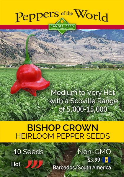 Bishop Crown Seeds – Lucifer's House of Heat