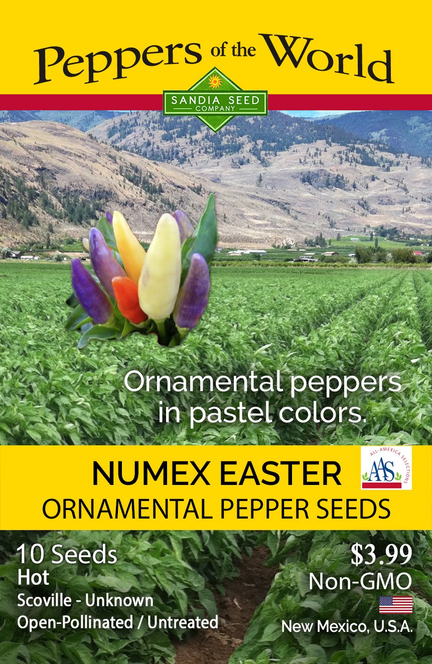 NuMex Easter Ornamental Pepper Seeds – Lucifer's House of Heat