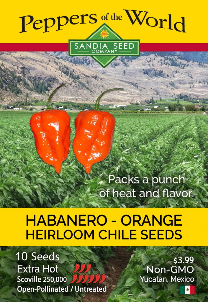 Habanero Orange Seeds – Lucifer's House of Heat - Main Image