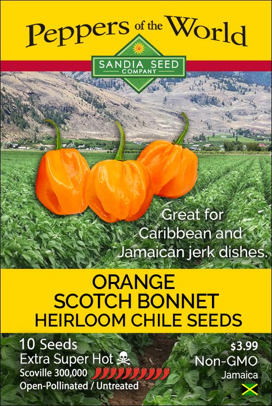 Orange Scotch Bonnet Seeds - Lucifer's House of Heat