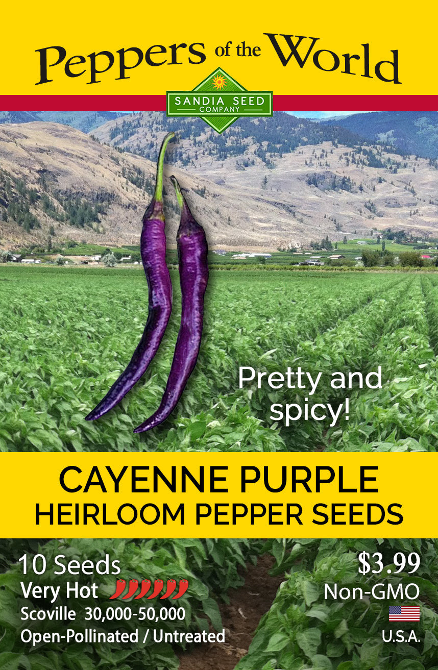 Cayenne Purple Pepper Seeds - Lucifer's House of Heat