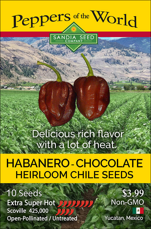 Habanero Chocolate Seeds - Lucifer's House of Heat