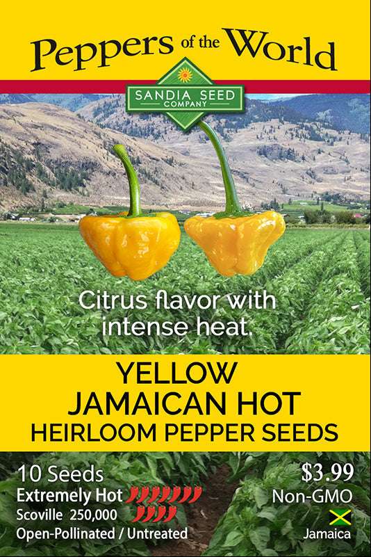 Jamaican Hot Yellow Pepper Seeds