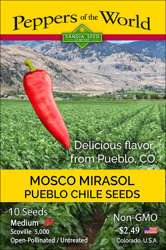 Mosco Mirasol Pueblo Chile - Lucifer's House of Heat