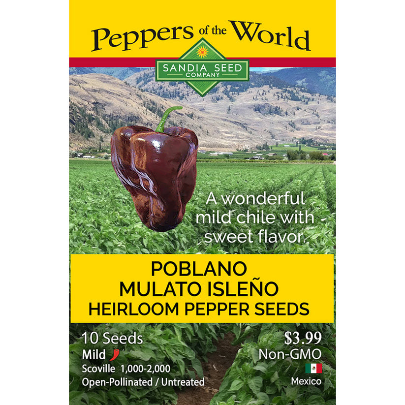 Poblano Mulato Isleño Chile Seeds