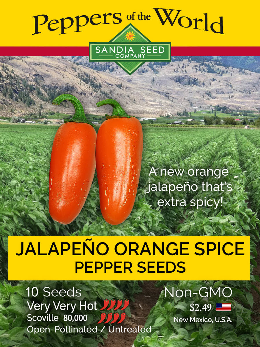 Jalapeño Orange Spice NuMex Seeds - Lucifer's House of Heat