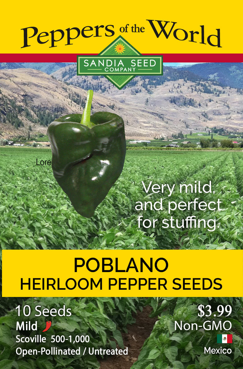 Poblano Pepper Seeds