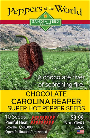 Chocolate Carolina Reaper Seeds - Lucifer's House of Heat