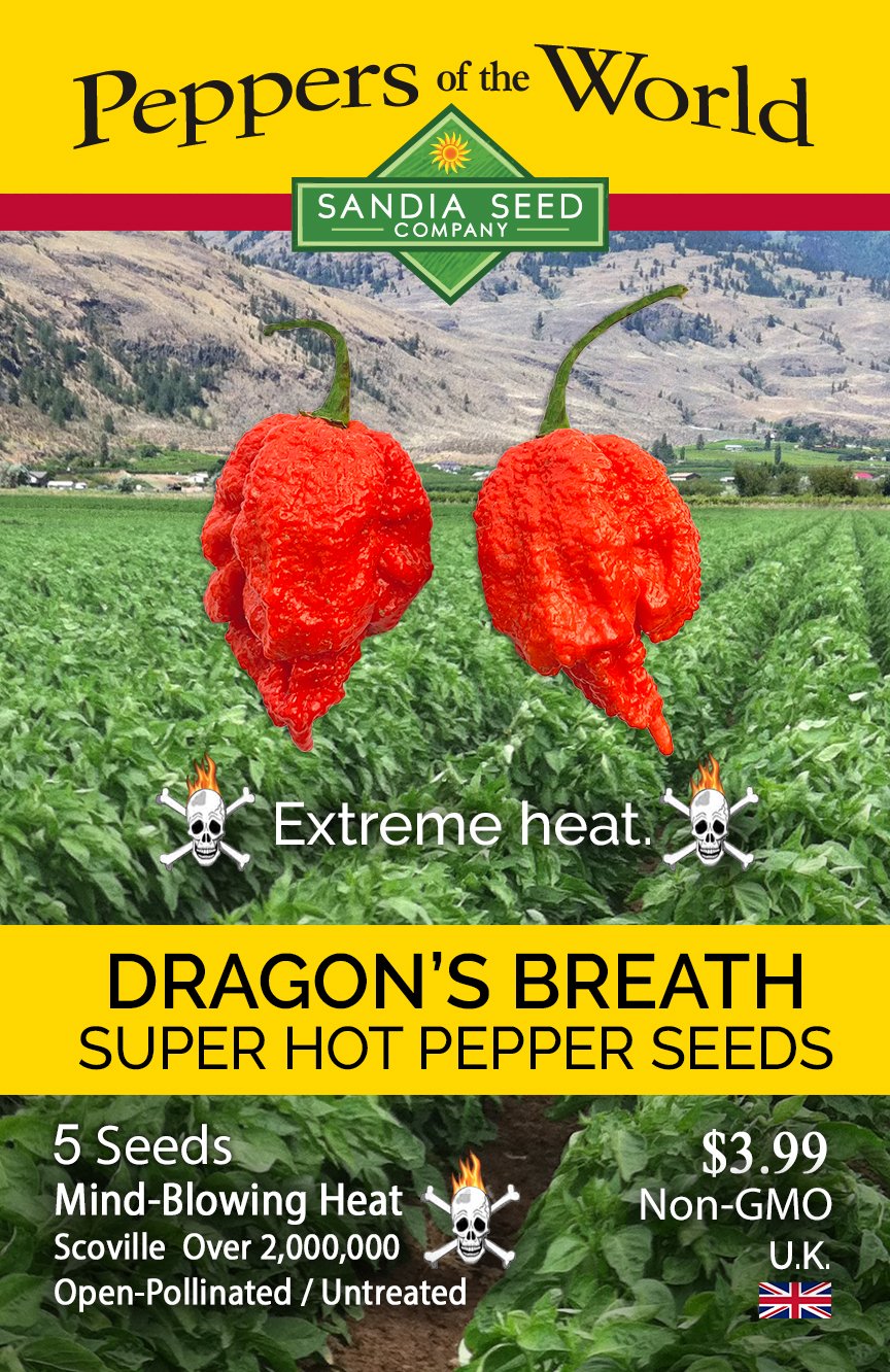 Dragon’s Breath Pepper Seeds - Lucifer's House of Heat