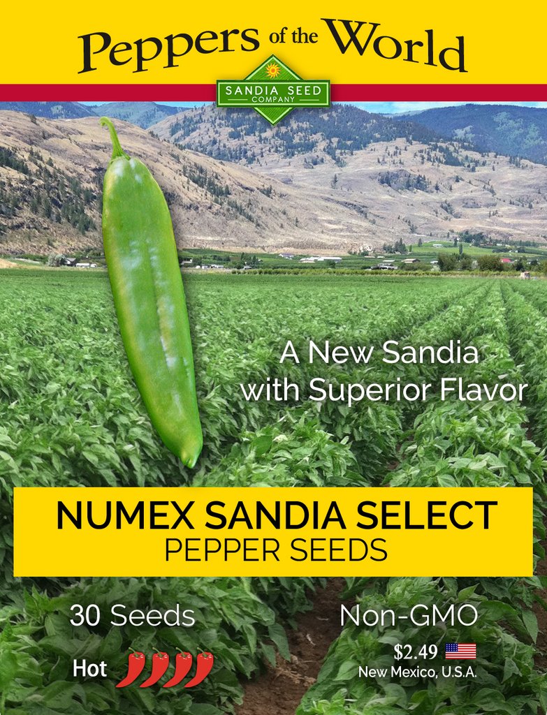 NuMex Sandia Select Green Chile Seeds - Lucifer's House of Heat