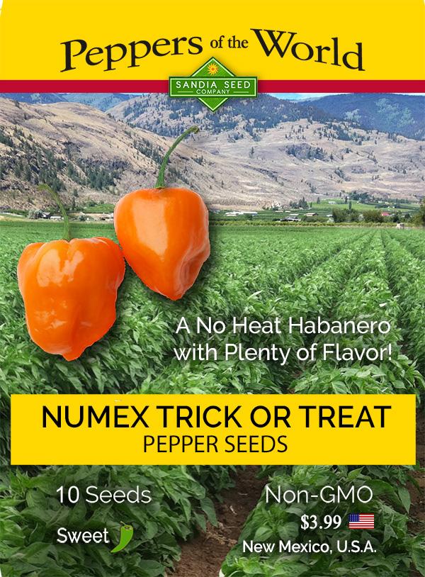 NuMex Trick or Treat Habanero - No Heat - Pepper Seeds - Lucifer's House of Heat
