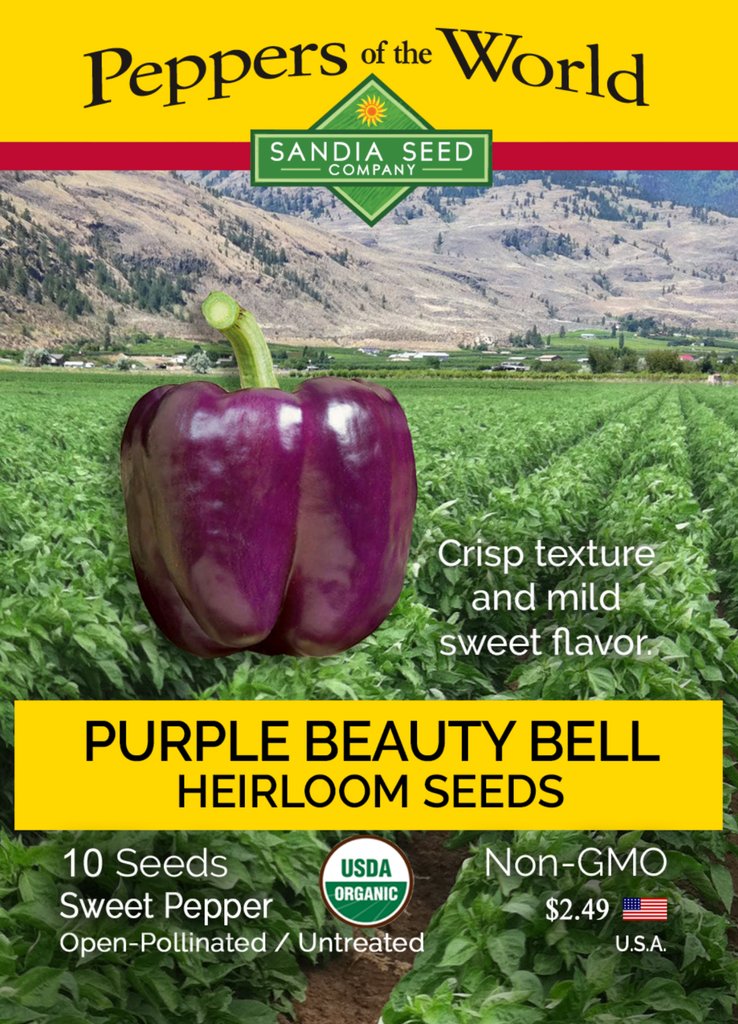 Bell Purple Beauty Sweet Pepper Seeds ORG - Lucifer's House of Heat