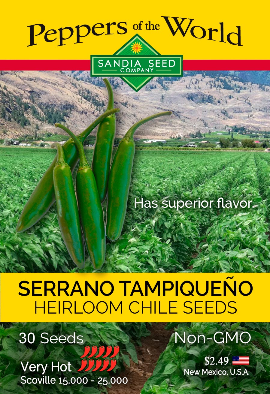 Serrano Tampiqueño Seeds - Lucifer's House of Heat