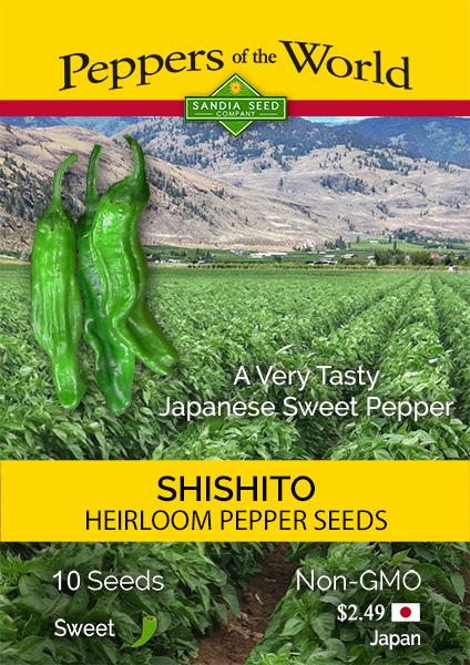 Shishito Japanese Sweet Pepper Seeds - Lucifer's House of Heat