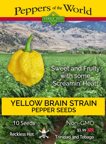 Yellow Brain Strain / Yellow 7 Pot Pepper Seeds - Lucifer's House of Heat